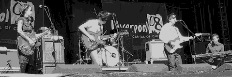 The Lightning Seeds live