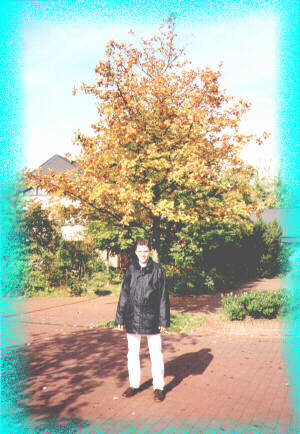 Es wird Herbst...