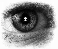Eye on the web