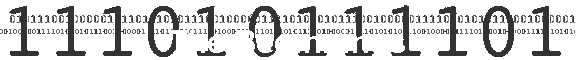 The Beginnings