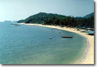 SANDREE - BEACH
