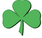 shamrock