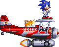 Sonic & Tails in flight
