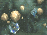 armada_anima2.GIF (26058 bytes)
