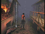 biodc_anima4.GIF (29724 bytes)