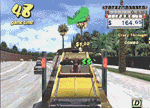crazy_anima3.GIF (40861 bytes)