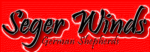 Seger Winds German Shepherds 