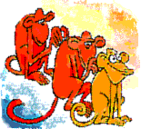 co�a, co�a