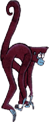 Macaco Aranha