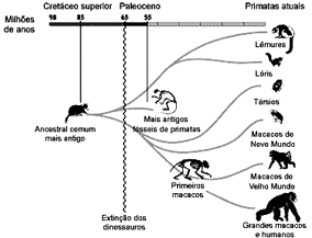 Conhe�a a revista Ci�ncia Hoje