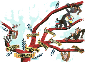 arvore geneal�gica dos primatas