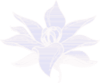 celta.gif (2624 bytes)