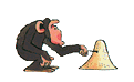 ferramentas de chimpanz�s