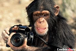 http://www.corbis.com