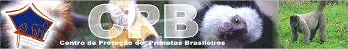 Conhe�a e ajude a conservar os primatas que vivem no Brasil
