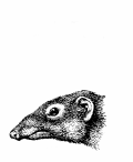 Cliparts&Cia. DIGERATI