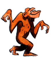 Australopithecus,  Homo erectus