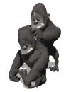 Grooming (desparasita��o) - Animation Factory GIF