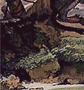 esperto