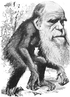 Charles Robert Darwin (1809-1882) 