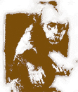 Os Macacos prego s�o do g�nero Cebus