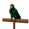 aprender a imitar � perceber melhor