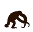 Primate Info Net