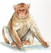 IRVINE CLIPART