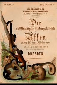 Reichenbach 1862