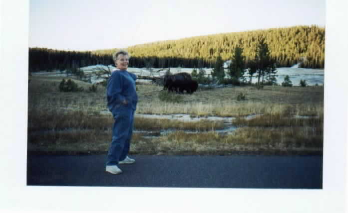 Spotting wildlife at 20 feet! Go Bison!