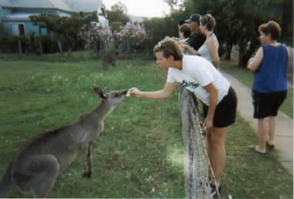 Of course, you've got to have a picture of a kangaroo if you are in Australia