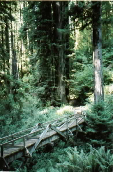 Easy to get lost on these trails. Don't forget to use a map!