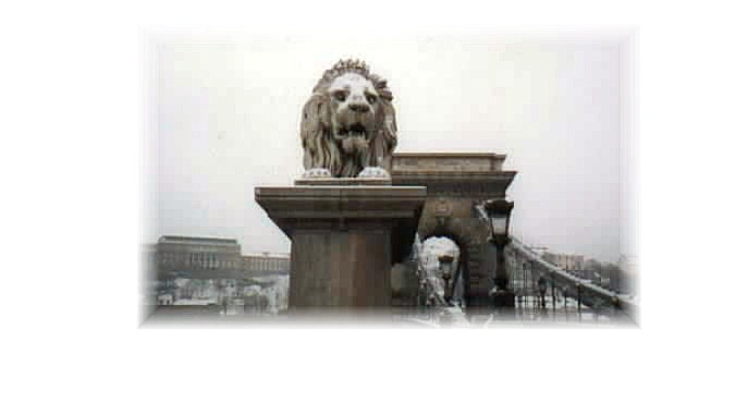 Does it look cold? It was! Even the lion is wondering where his fur hat is