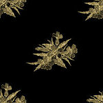 blackgold2