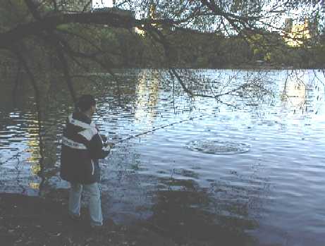 A Common Carp was caught. Click to see the fish is landed.
