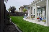 and more grass
