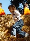 Hay!