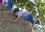 Hay! Sean's climbing!