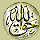 animislam11.gif (3125 bytes)