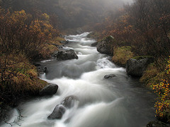 Agua