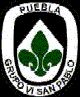 Grupo VI