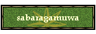 sabaragamuwa