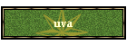 uva