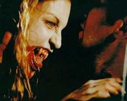 vampires0.jpg (6001 bytes)