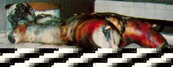 burn8.jpg (22351 bytes)