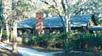 Outside Barn