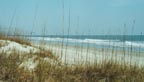 The Beach