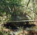 Crystal Garden Bench - Very Good Meditations Here