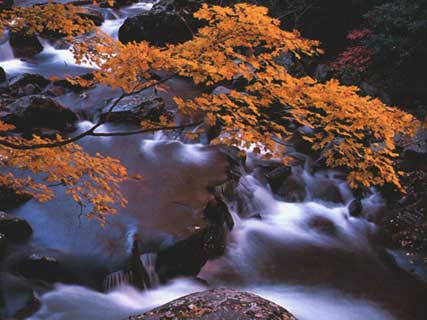 thumbnail of your picture 9