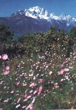 thumbnail of your picture 7